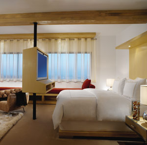 Signature Suite