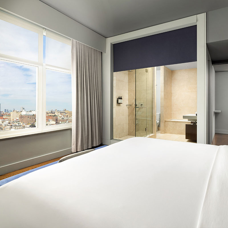 Horizon Suite