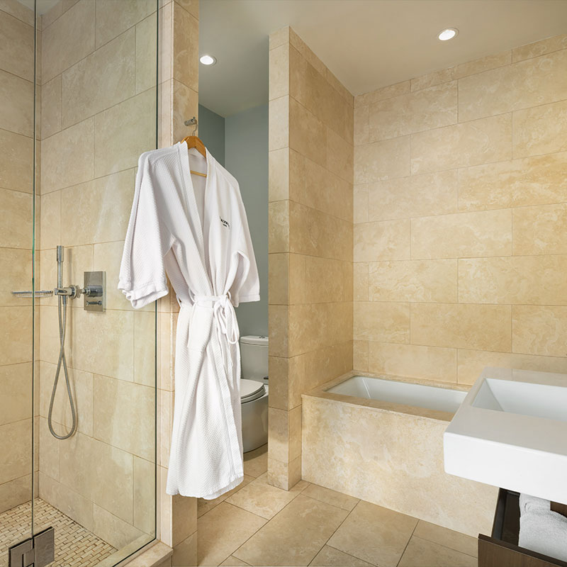 Horizon Suite