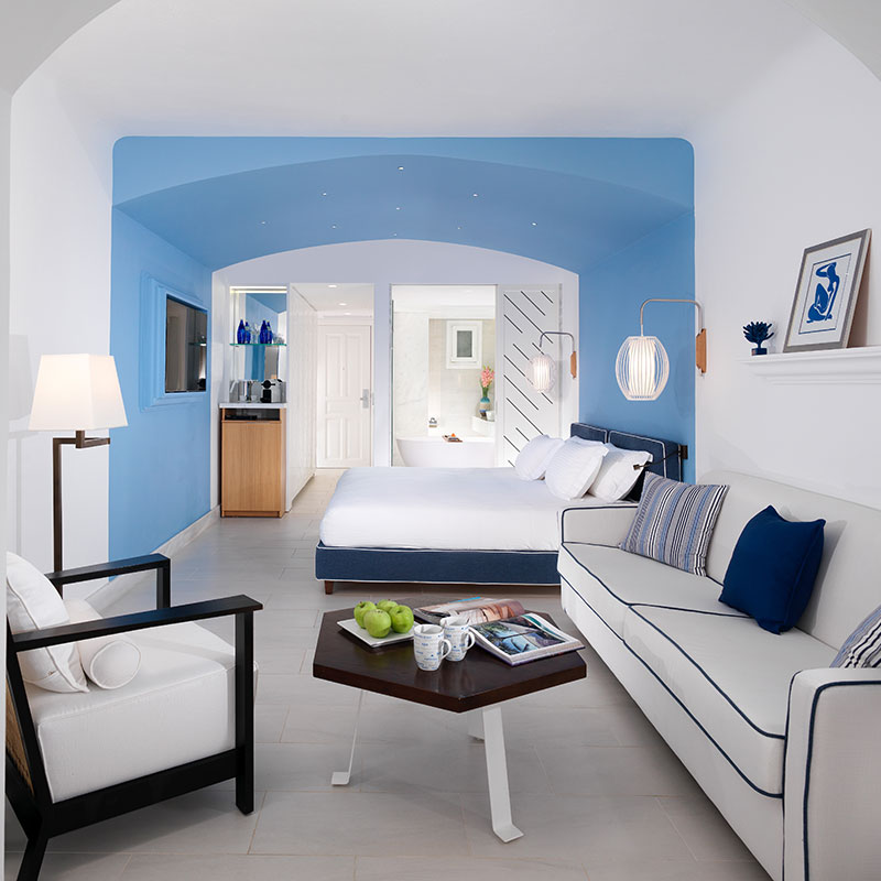 Premium Garden View Room