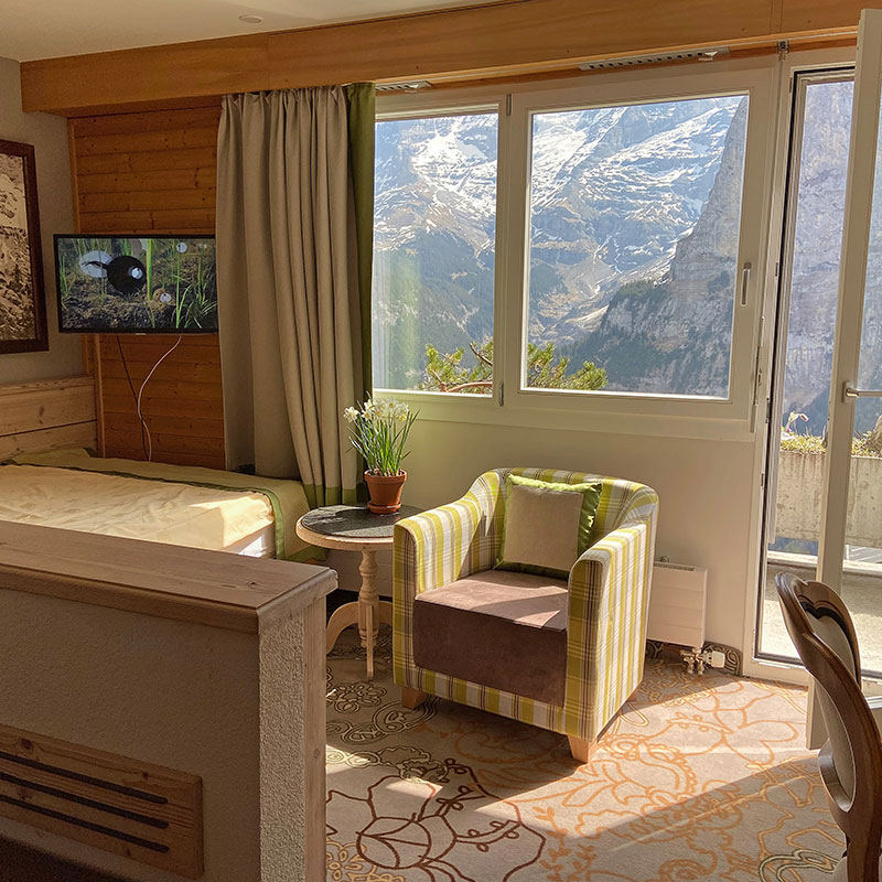Single Room with Eiger View