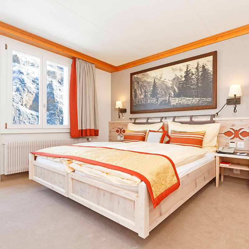 Double Room with Eiger View
