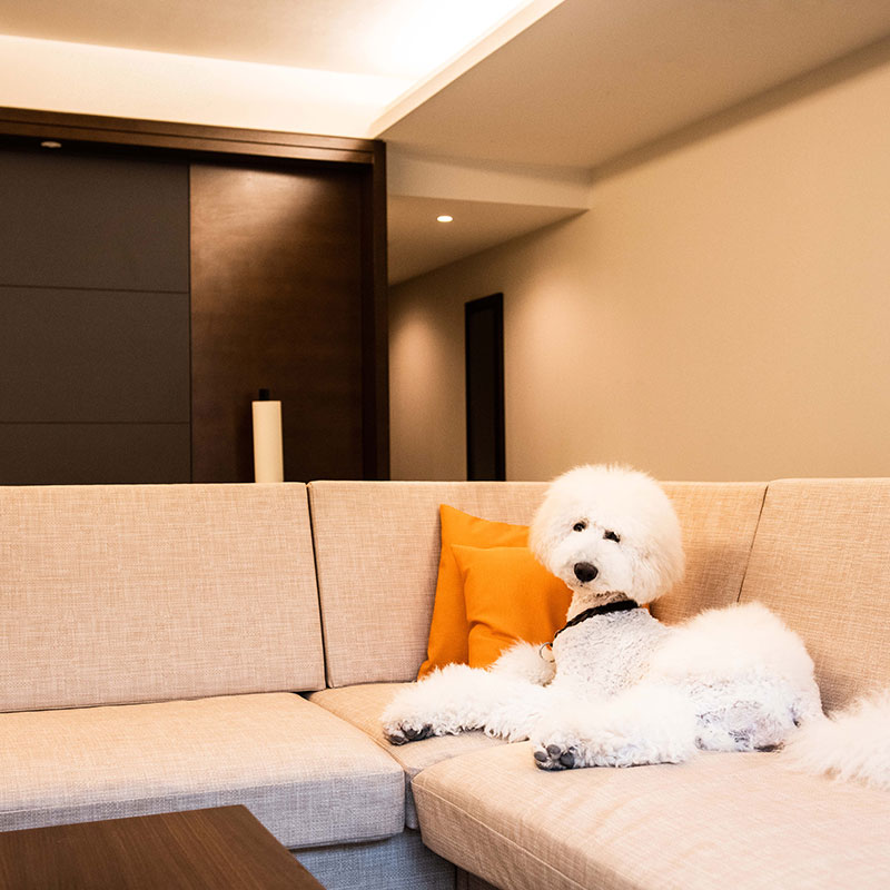 Deluxe Dog Friendly Room- 2 Twin Beds