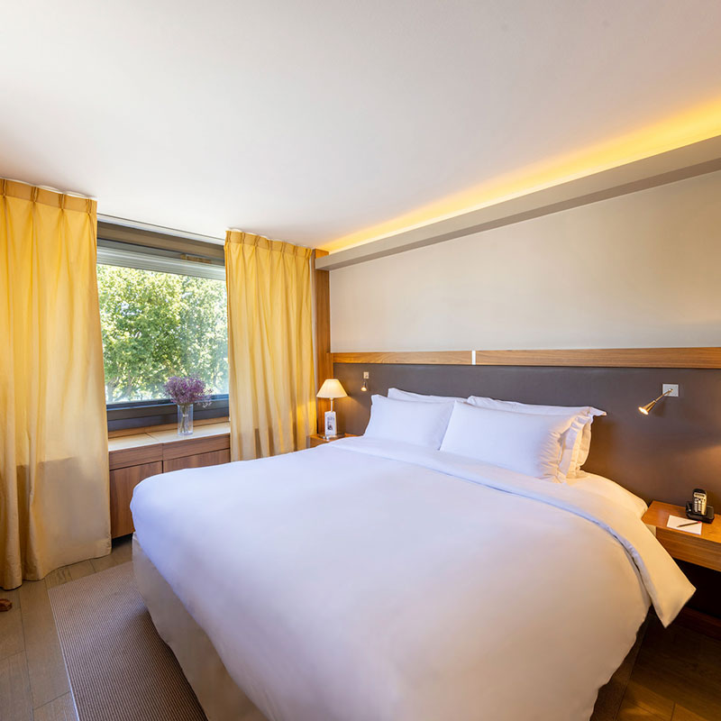 Junior Suite - 1 Queen Bed
