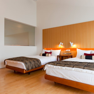 Luxury Suite - 2 Twin Beds