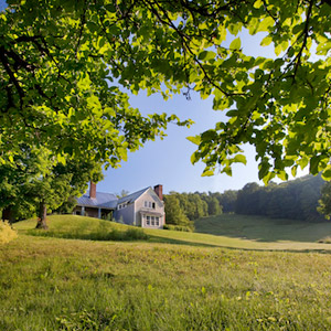 Hillside Suite