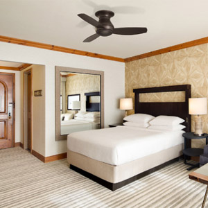 Standard Room- 1 King Bed