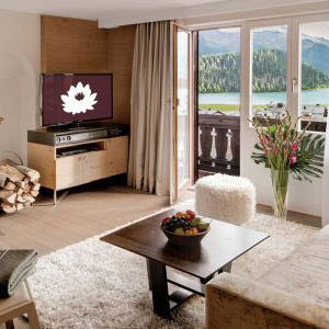 Mountain Suite
