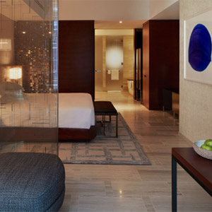 ADA One King Studio Suite