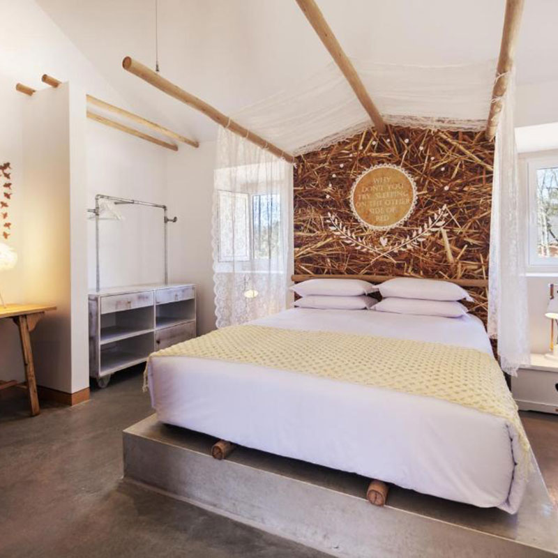 Charming Suite 