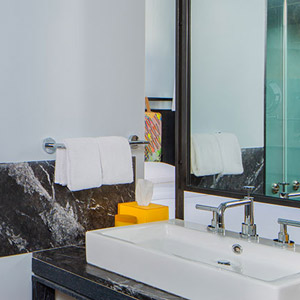1 King Bed ADA w/ Shower