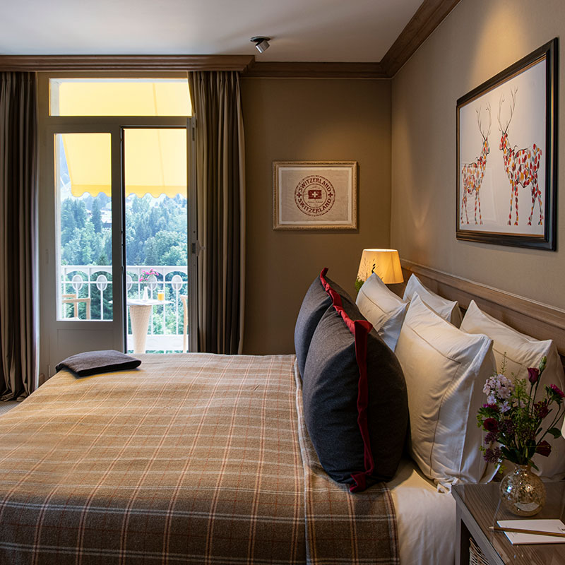 Superior Room Mountain View