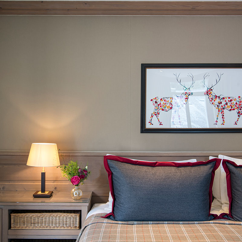 Superior Room Mountain View