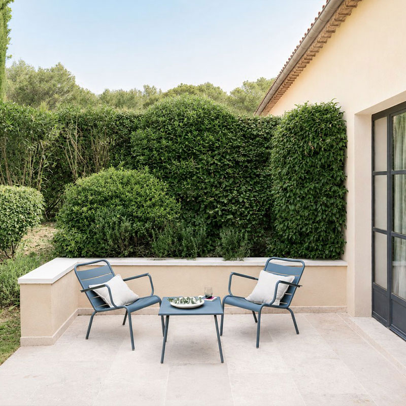 Suite Alphonse de Savornin with terrace
