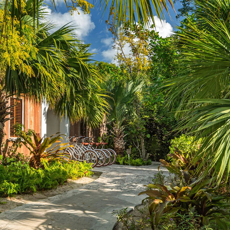 One Bedroom Beachfront Suite