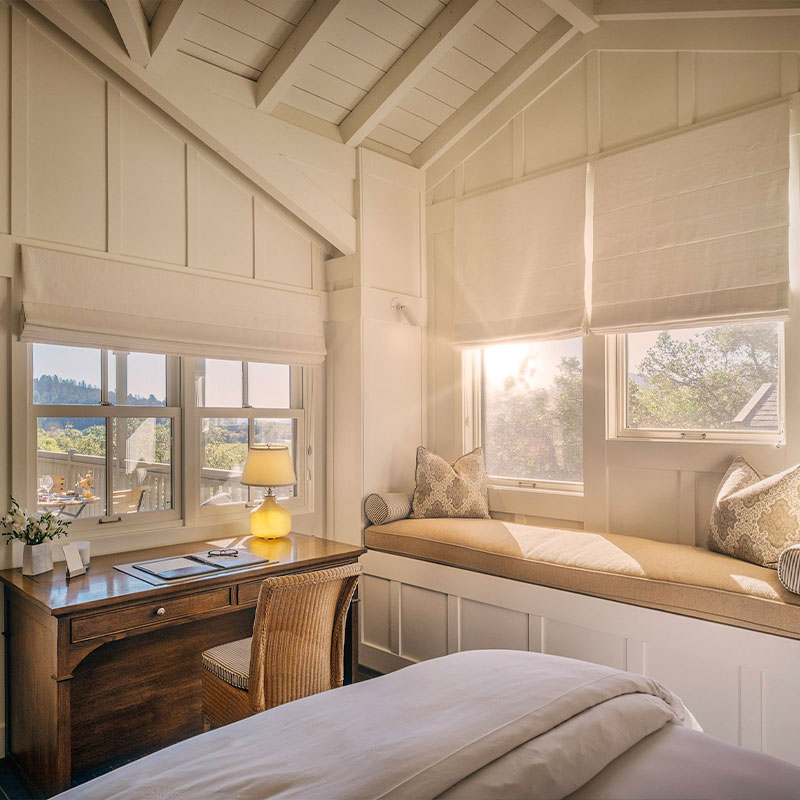 Treeline Suite
