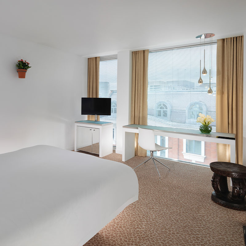 Superior Room - 1 Queen Bed