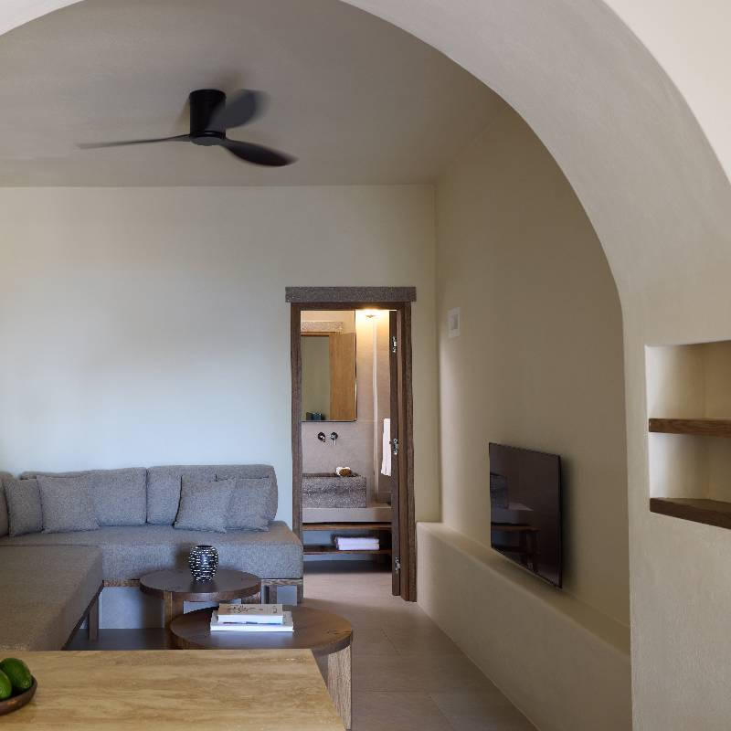 Apartment Suite 