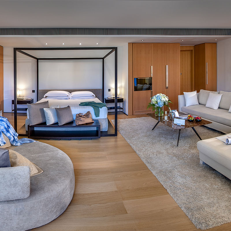 Suite - 1 King Bed