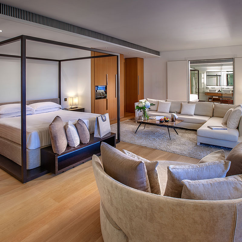 Suite - 1 King Bed