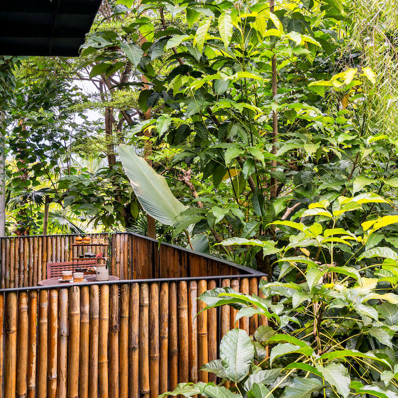 Canopy Suite