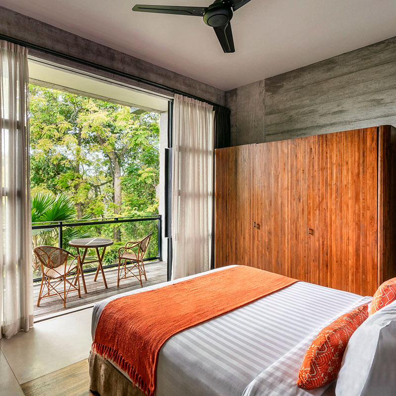Forest Suite
