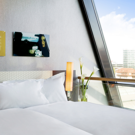Duplex Junior Suite Alps View