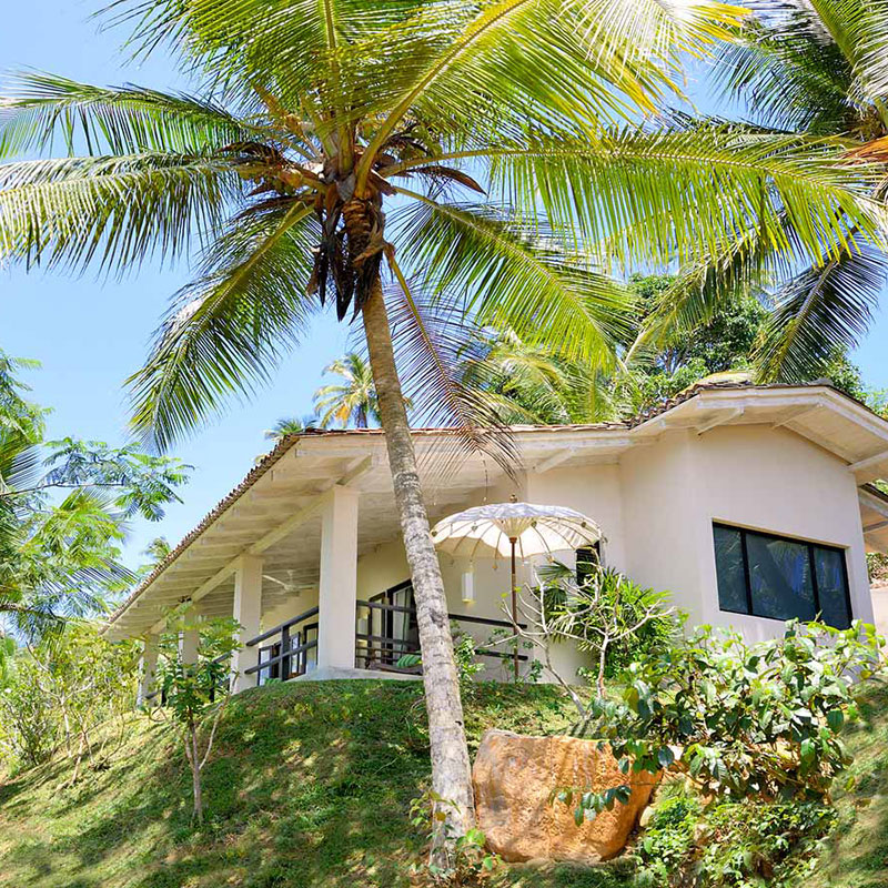 Nelum - Plantation Villa