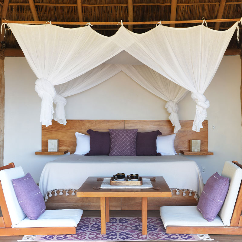 Eco Chic Suite A/C W/ one King bed
