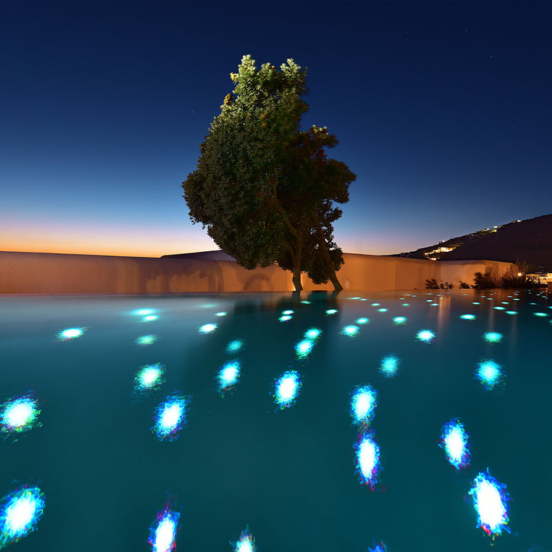 Premium Garden Sharing Pool Room