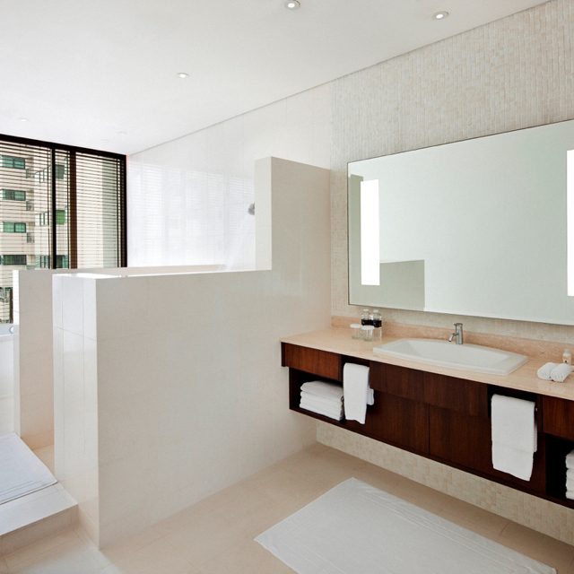 Penthouse Duplex Suite