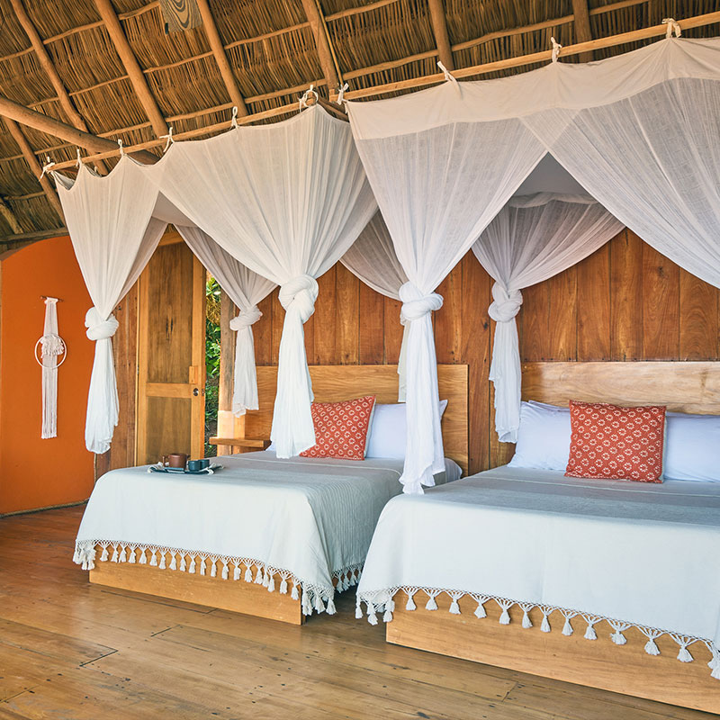 Eco Chic Suite W/ two double beds