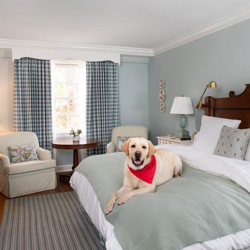 Garden King - Pet Friendly