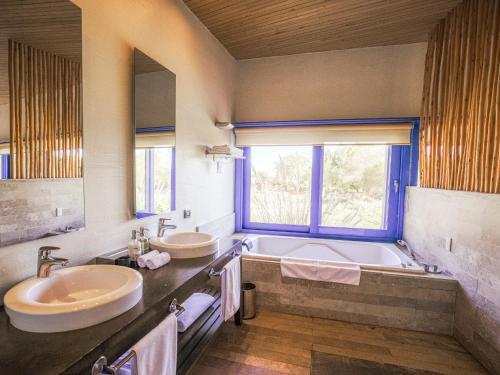 Standard Double Suite