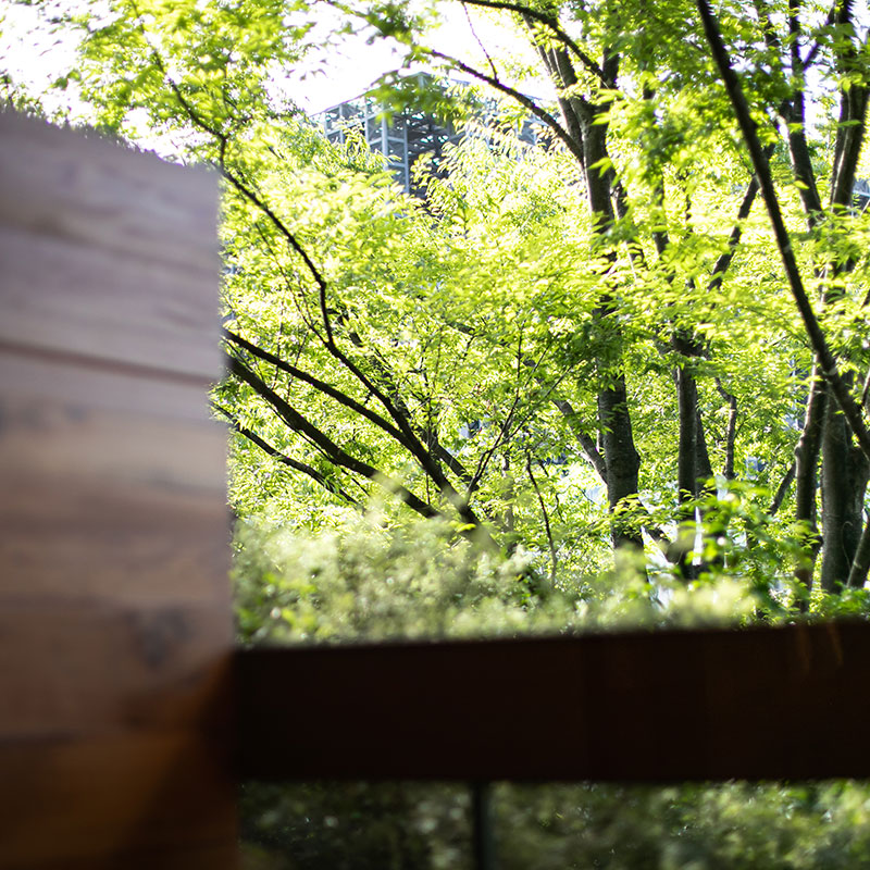 Standard Double Room, Balcony