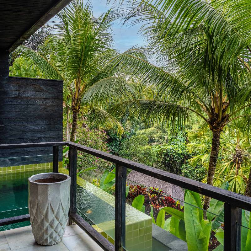 Deluxe Pool Suite