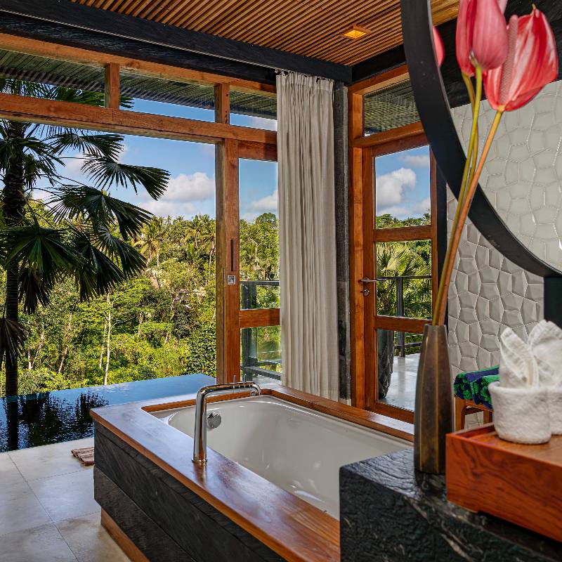 Deluxe Pool Suite