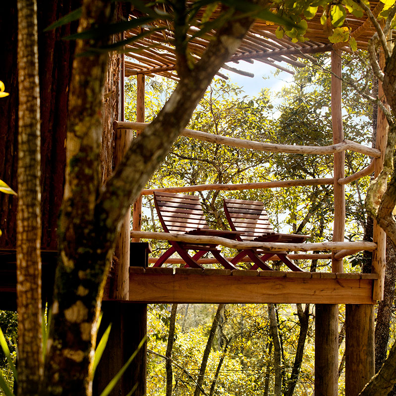 Waterfall View Suite