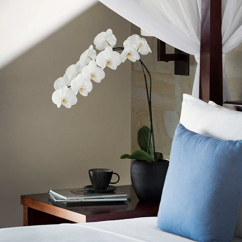 Garden Suite