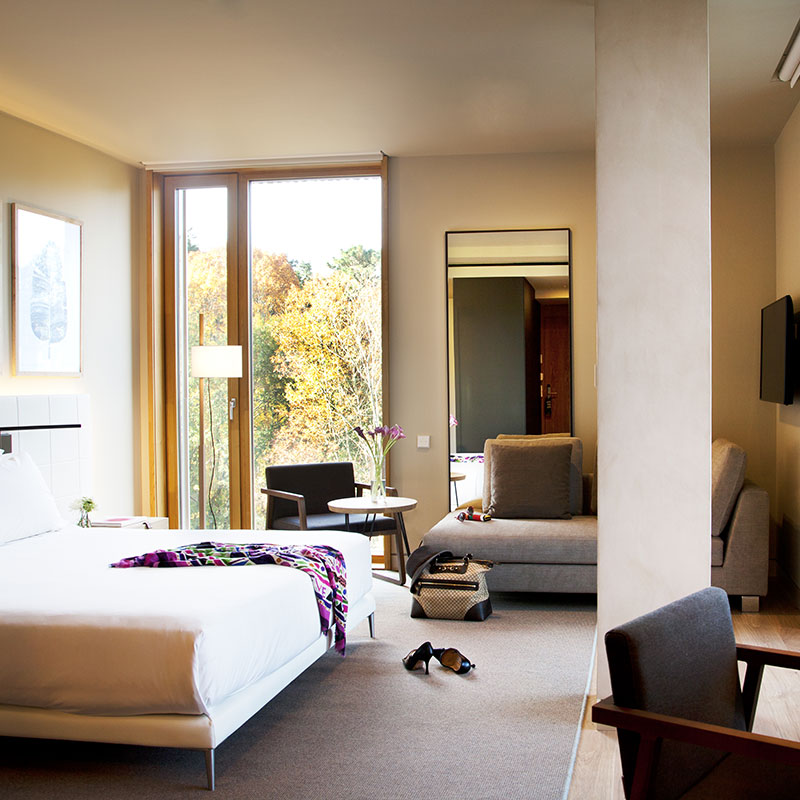 Junior Suite with Terrace