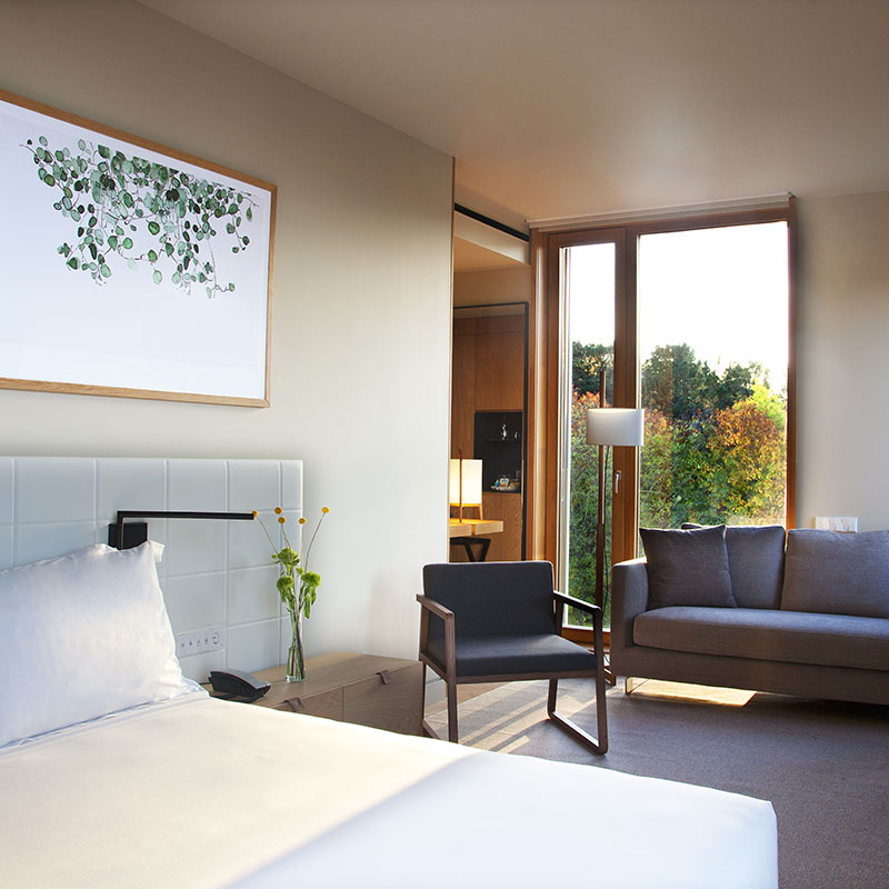 Suite Premium