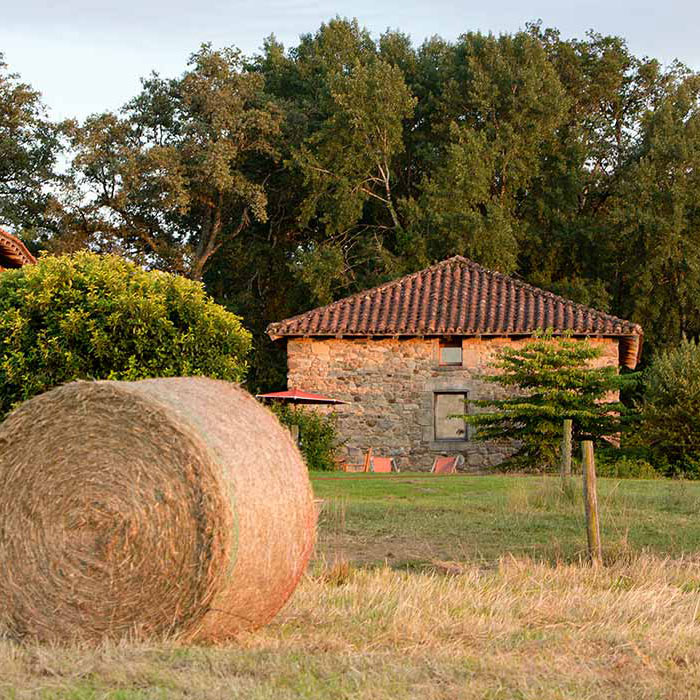 Licorne farm Cottage (1 Bedroom)