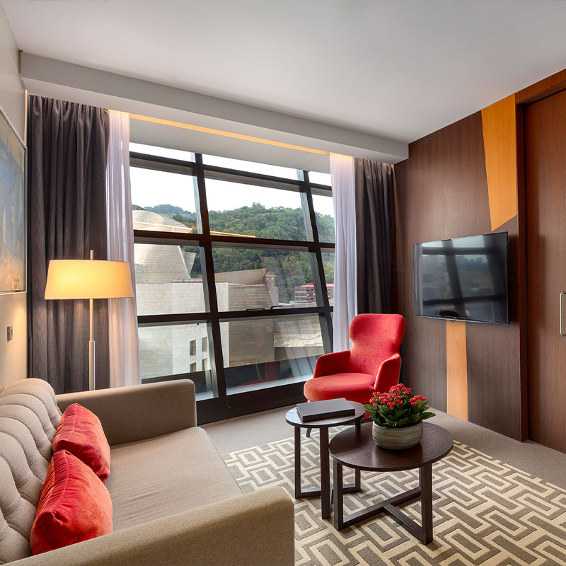 Deluxe Suite Guggenheim View