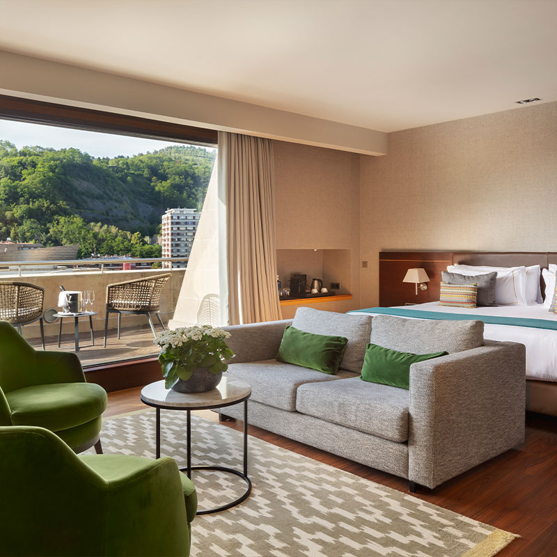 Studio Suite with Terrace