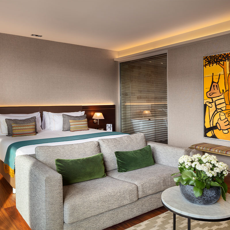 Studio Suite with Terrace