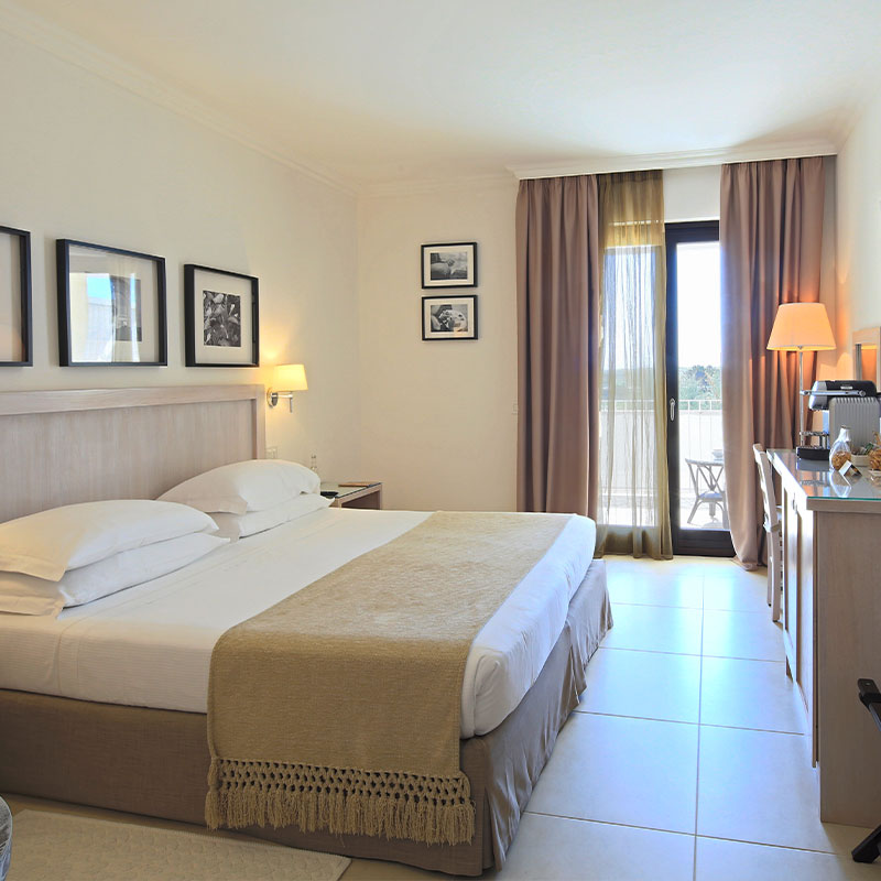 Superior Plus Room