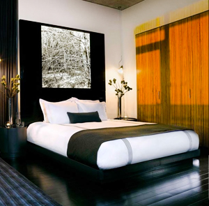 King Studio ADA room