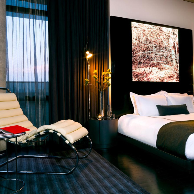 King Studio ADA room