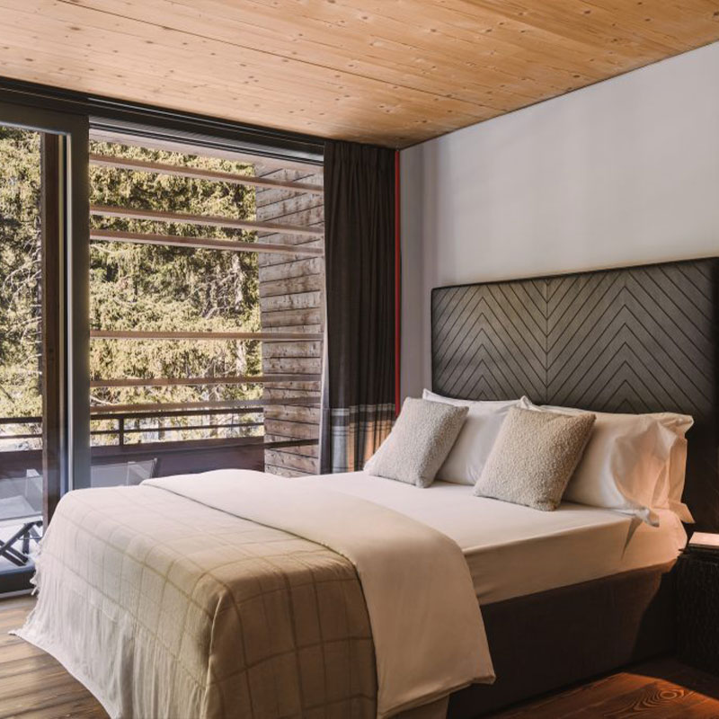 Forest Suite