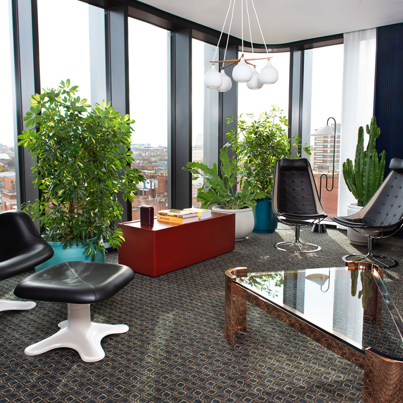Suite Spot